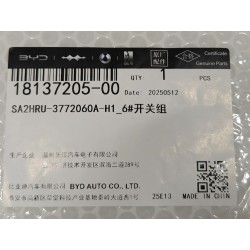 SWITCH SET #6 - Ensemble d'interrupteurs n°6 - BYD - 18137205-00