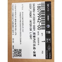 Plafonnier avant - Gris - BYD - 18079942-00