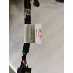 Faisceau de câblage de compartiment avant 1 - BYD - 18058048-00