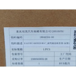 Dossier de siège avant passager - noir foncé 5 - BYD - 18046584-00