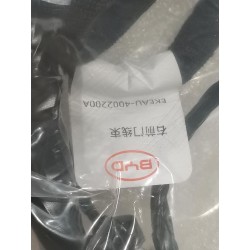 Faisceau de câblage de porte avant droite - BYD - 17982982-00