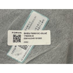 Dossier de siège arrière gauche-Bleu LAZ - BYD - 17982939-00