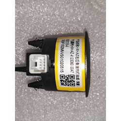 Éclairage intérieur arrière droit - noir foncé 5 - BYD - 17901222-00