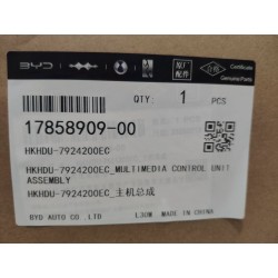 Contrôle multimédia - BYD - 17858909-00