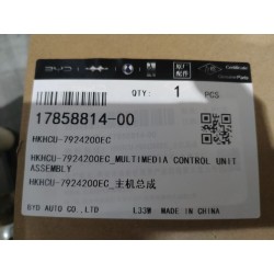 Commande multimédia - BYD - 17858814-00