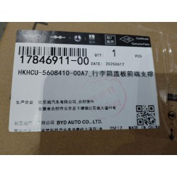 Plaque de support avant de panneau de coffre-DARK BLACK 5 - BYD - 17846911-00