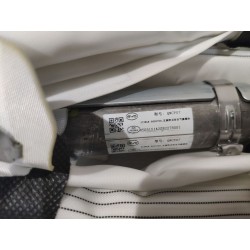 Module airbag rideau latéral gauche - BYD - 17823706-00