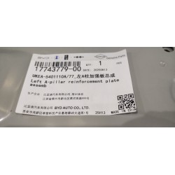 Plaque de renforcement du pied A gauche, assemb - BYD - 17743779-00