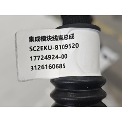 Faisceau de câblage du module intégré - BYD - 17724924-00