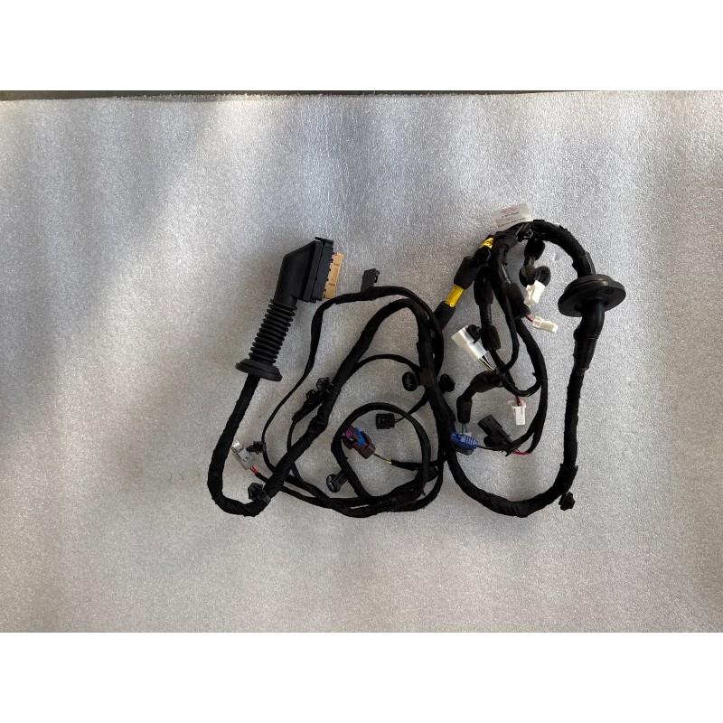 Faisceau de câblage de porte avant gauche - BYD - 17684842-00