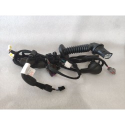 Faisceau de câblage de porte arrière droite - BYD - 17684838-00