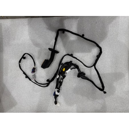 Faisceau de câblage de porte avant droite - BYD - 17684809-00