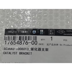 Support de catalyseur - BYD - 17654876-00