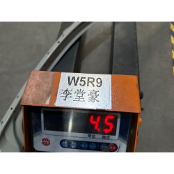Plaque de renfort de longeron supérieur de paroi latérale gauche - BYD - 17651660-00