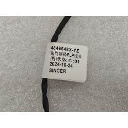 Faisceau de câblage PLP du siège passager avant - BYD - 17579926-00