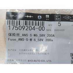 Fusible 200A 58V (ANS-S-M6) - BYD - 17509204-00