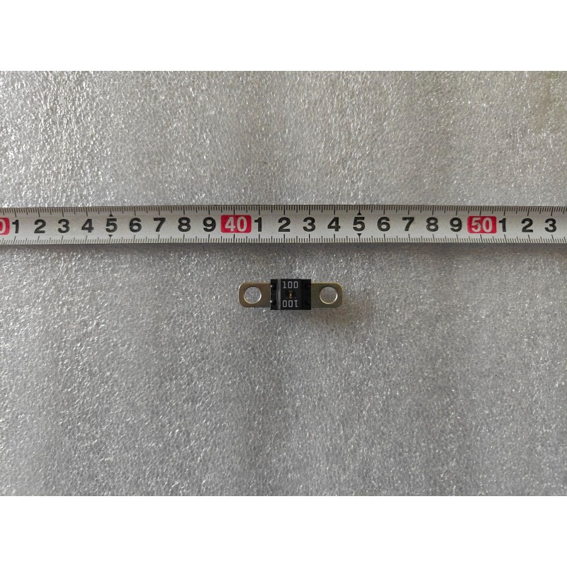 Fusible 100A 58V (ANS-S-M6) - BYD - 17509194-00