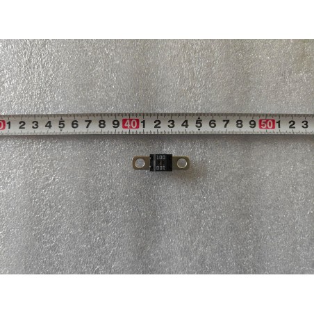 Fusible 100A 58V (ANS-S-M6) - BYD - 17509194-00