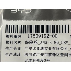 Fusible 125A 58V (ANS-S-M6) - BYD - 17509192-00