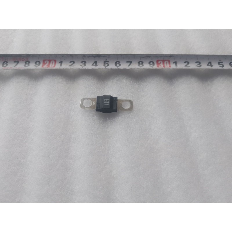 Fusible 60A 32V (LZ-60A-M6) - BYD - 17480962-00