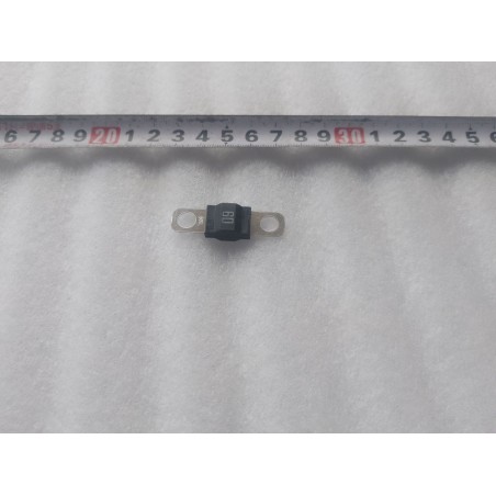 Fusible 60A 32V (LZ-60A-M6) - BYD - 17480962-00