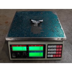 Feu clignotant latéral de rétroviseur gauche - BYD - 17441188-00