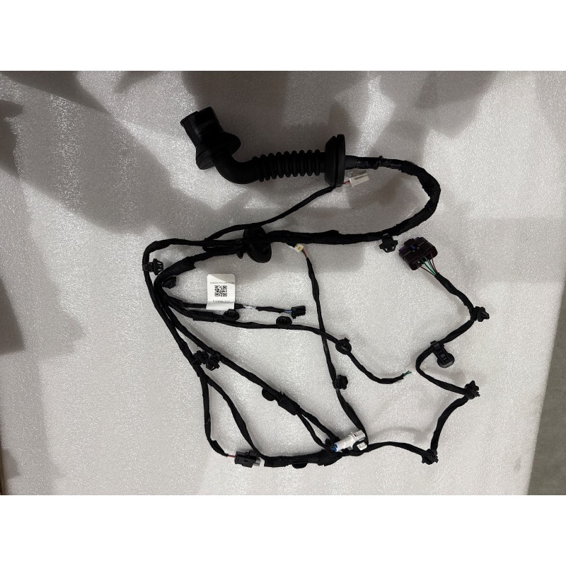 Faisceau de câblage de porte arrière droite - BYD - 17426089-00