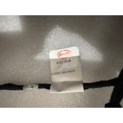 Faisceau de câblage de porte arrière droite - BYD - 17426089-00