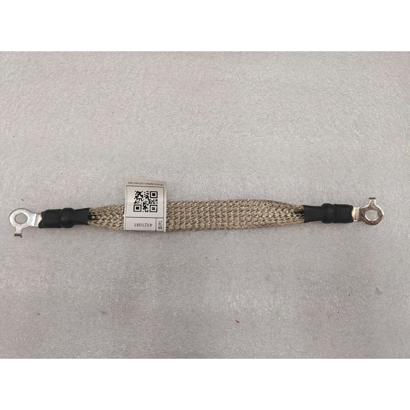 Faisceau de câblage de masse II de l'ensemble de charge et distribution - BYD - 17398800-00