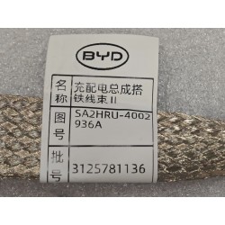 Faisceau de câblage de masse II de l'ensemble de charge et distribution - BYD - 17398800-00