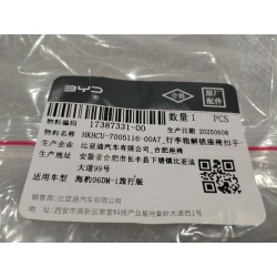 Boucle de siège déverrouillage coffre-DARK BLACK 5 - BYD - 17387331-00