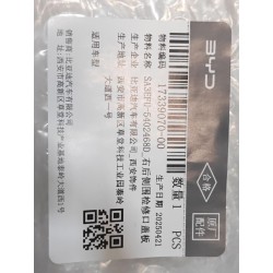 Couvercle d'accès de paroi latérale arrière droite - BYD - 17339070-00