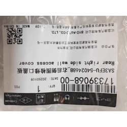 Couvercle d'accès de paroi latérale arrière droite - BYD - 17339068-00
