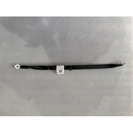 Faisceau de câblage de masse du moteur arrière - BYD - 17298538-00