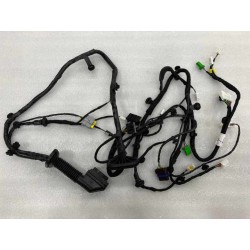 Faisceau de câblage de porte avant gauche - BYD - 13249224-00