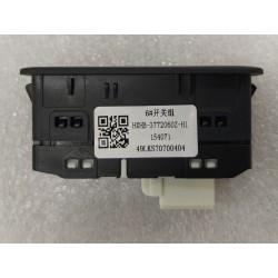 Interrupteurs 6 - BYD - 17248454-00