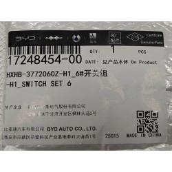 Interrupteurs 6 - BYD - 17248454-00