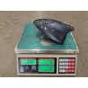 Antenne extérieure - Gris montagne - BYD - 13248481-00