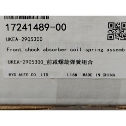 Ressort hélicoïdal de l'amortisseur avant - BYD - 17241489-00