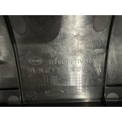 Plaque de support avant de panneau de couvercle de coffre - BYD - 17228969-00