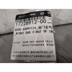 Vérin à gaz droit de couvercle de coffre - BYD - 17228912-00