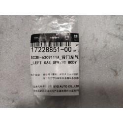 Vérin à gaz gauche de hayon - BYD - 17228851-00