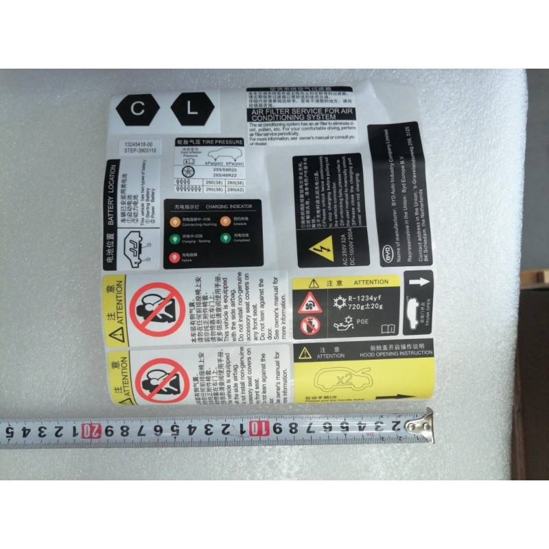 Plaques signalétiques du véhicule - BYD - 13245418-00