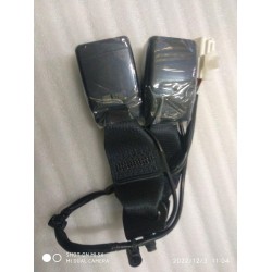 Boucle de ceinture centrale arrière - BYD - 13232619-00