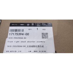 Amortisseur avant droit - BYD - 17175394-00