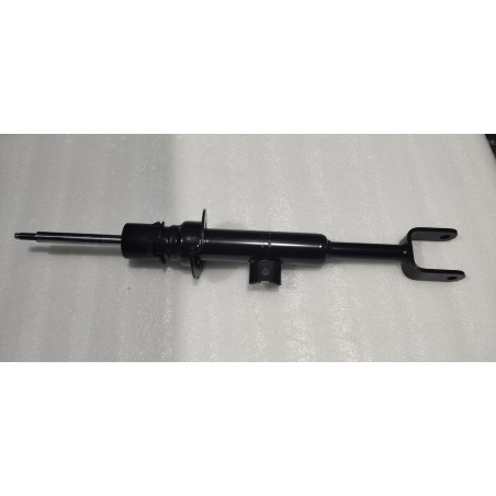 Amortisseur avant droit - BYD - 17175387-00