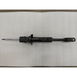 Amortisseur avant gauche - BYD - 17132720-00