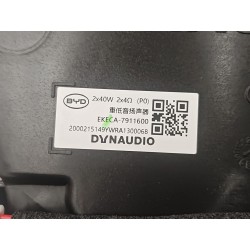 Subwoofer - BYD - 17102456-00