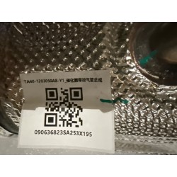 Catalyseur avec conduite d'échappement - BYD - 17082317-00