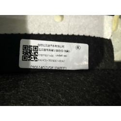 Sous-ensemble dossier de siège arrière gauche-Noir Foncé 5 - BYD - 17077071-00